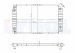 LR1035 - Auto Radiator